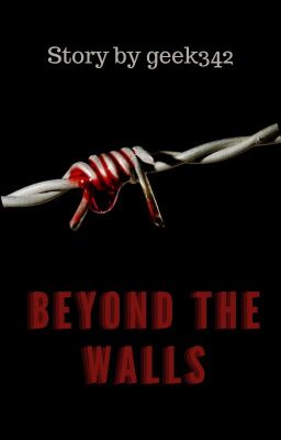 Beyond The Walls (NOW ON AMAZON!!!)