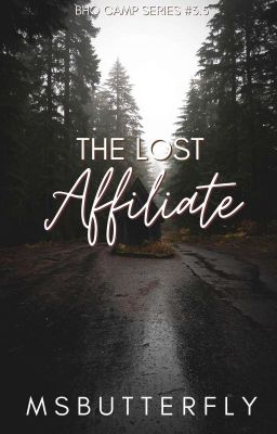 BHO CAMP #3.5: The Lost Affiliate (Storm Reynolds' Novelette)