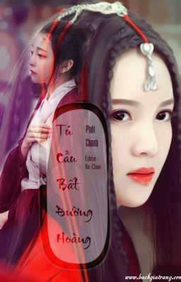 [BHTT - Edit ][Hoàn] Tú Cầu Bất Đường Hoàng - Phôi Chanh