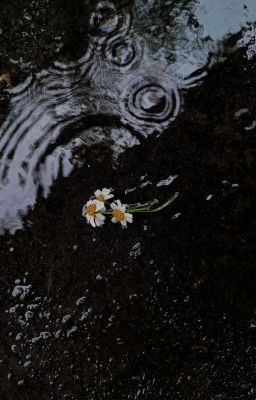 [BHTT] màu lặng im