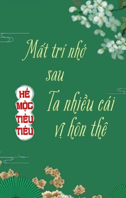 [BHTT] [QT] Mất Trí Nhớ Sau Ta Nhiều Cái Vị Hôn Thê - Hề Mộc Tiêu Tiêu