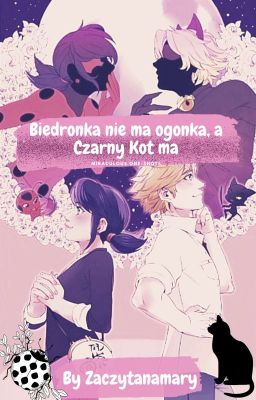 Biedronka nie ma ogonka, a Czarny Kot ma | Miraculous one-shots