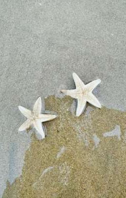 Biển || ver MasonB