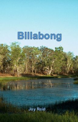 Billabong