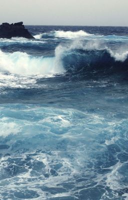 [ Billow x Reader ] Sóng Hát