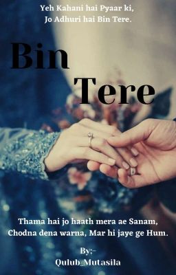 Bin Tere