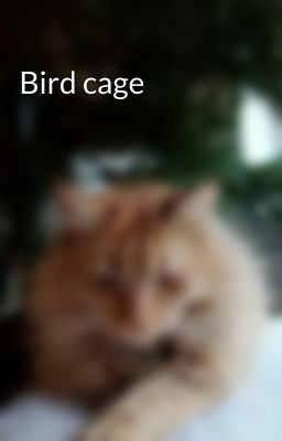 Bird cage