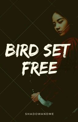 Bird Set Free