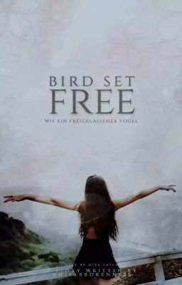 Bird Set Free