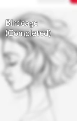 Birdcage (Completed)