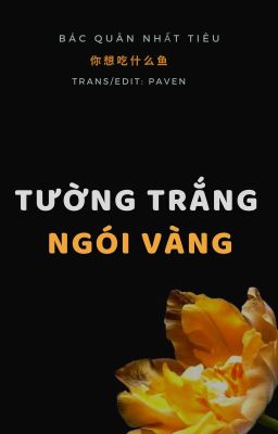 BJYX | ĐOẢN | TƯỜNG TRẮNG NGÓI VÀNG (HOÀN)