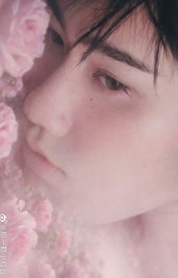 [BKPP] Cánh Hồng