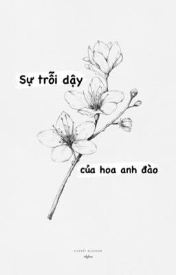 [BL] Season1 : Sự Trỗi Dậy Của Hoa Anh Đào 