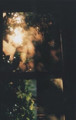 [BL] Tàn đông