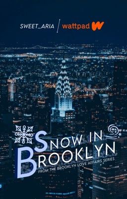 BLA SERIES: Snow in Brooklyn