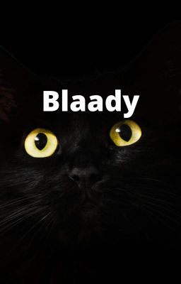 Blaady