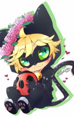 Black cat of love and misfortune (chat noir x reader)