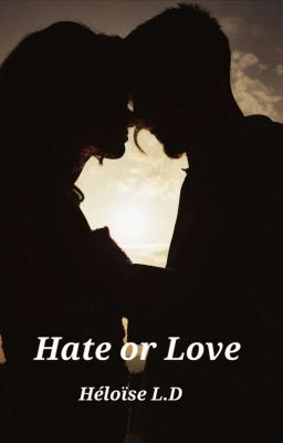 Black Gun's  |  Hate or Love