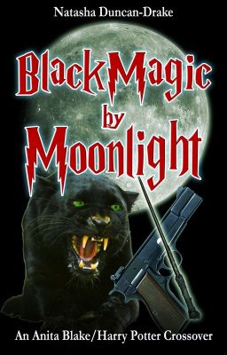 Black Magic By Moonlight (Harry Potter/Anita Blake Crossover)