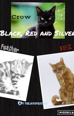 Black, Red and Silver (a Warrior Cats story. I do not own Warriors)