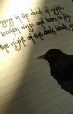 Blackbird (Larry, Zarry, Narry, Ziall.)