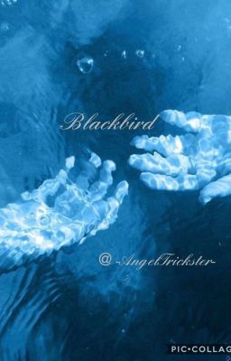 Blackbird(Sabriel)