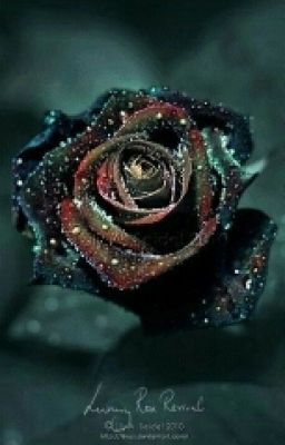 Blackened Rose