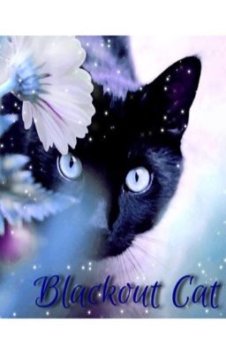 Blackout Cat