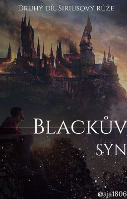 Blackův syn |HP FF|❌