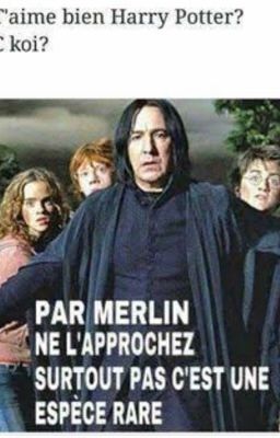 Blague d'une potterhead hystérique 😝