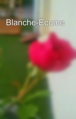 Blanche-Écume