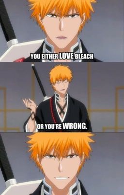 Bleach Incorrect Quotes