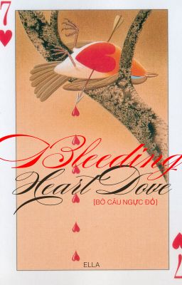 bleeding heart dove [bồ câu ngực đỏ]