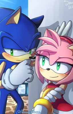 Bleu et Rose『SonAmy』