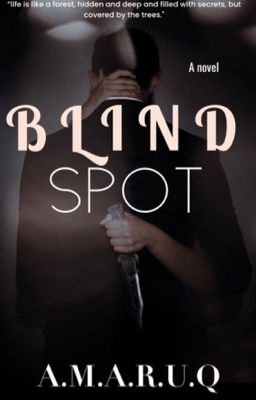 Blind Spot 