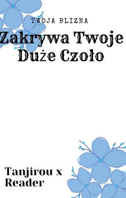 Blizna Zakrywa Twoje Duże Czoło (Tanjirou X Reader)