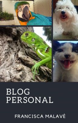 Blog personal