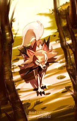 Blood on the Ferns - A story of a Lycanroc