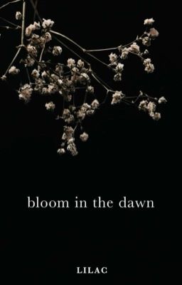 bloom in the dawn | ✓