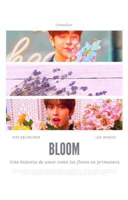 Bloom [KnowMin/MinMin]