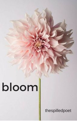 Bloom (Malec)