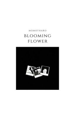 Blooming Flower • HP Drabble