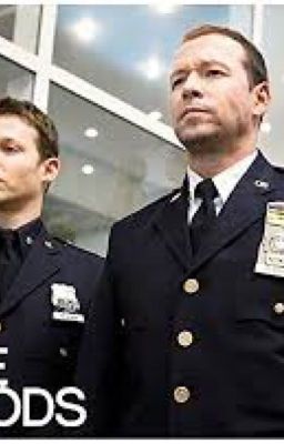 Blue Bloods Oneshots