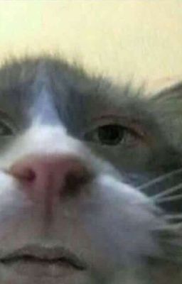 [Blue Lock] IsaRin - PWP