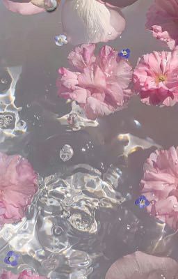 // Blue Lock // My love(。・ω・。)ノ♡