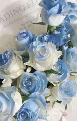 Blue Rose