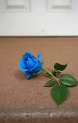 Blue Rose 