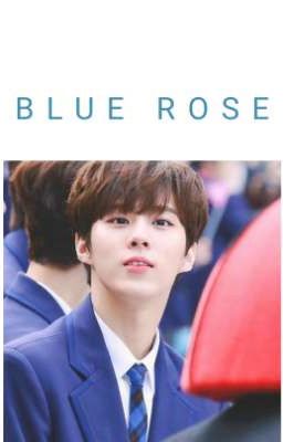 BLUE ROSE ° Kim WooSeok (Up10tion)(X1)