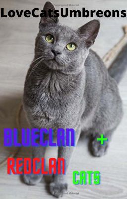 BlueClan and RedClan Cats