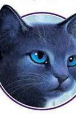 BlueStar: my story. 